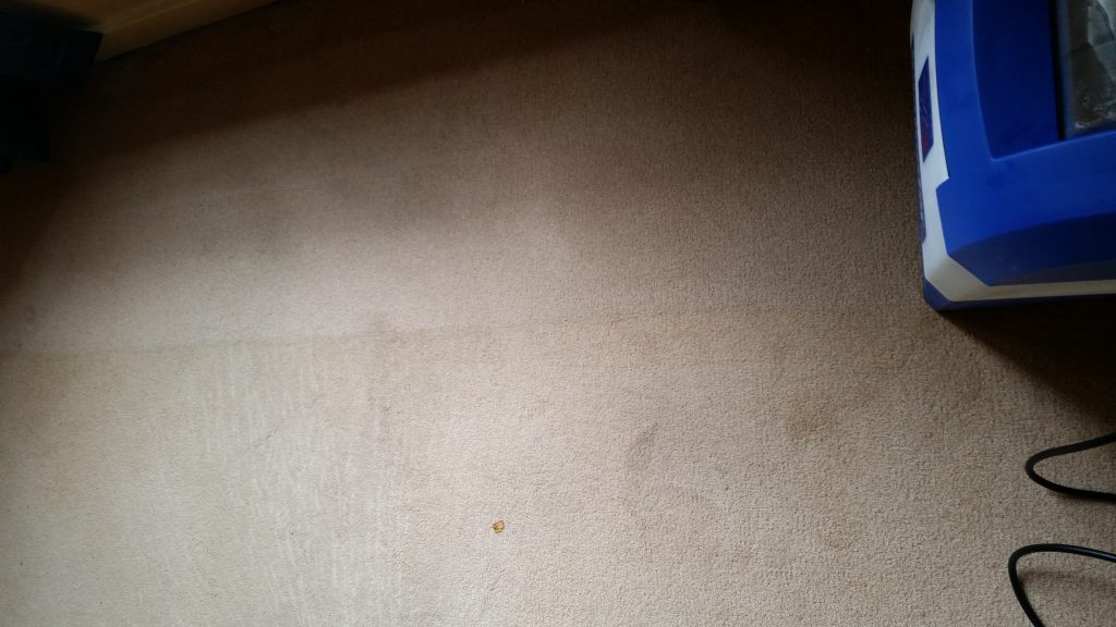 deep carpet clean to remove tobacco stains